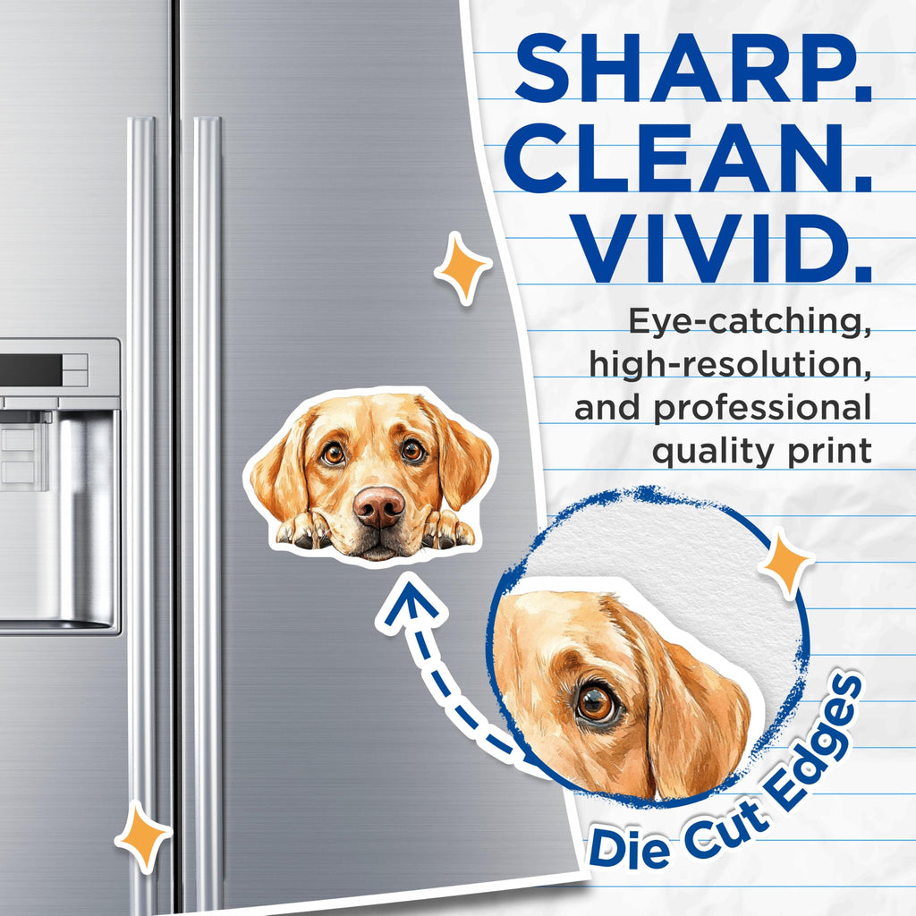 (2 Pack) Labrador Magnets - Dog Breed Lover - Refrigerator Home Decor - 5" On Longest Side - Premium Magnet - for Cars, Refrigerators, Toolboxes, Lockers - Made in USA - MAG16266