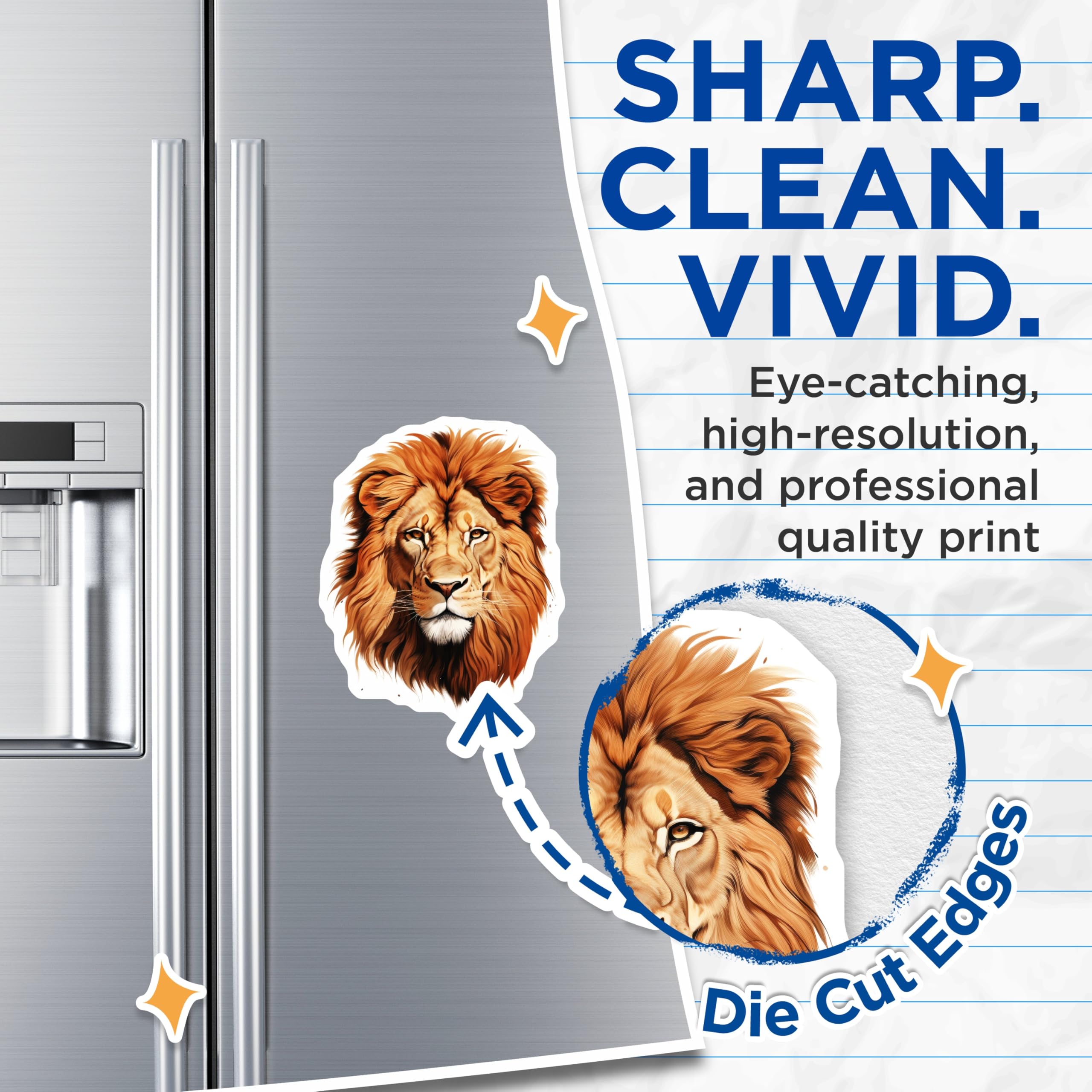 (2 Pack) Lion Head Magnets - Animal Lover Decor - Safari Jungle Theme Gift - 5" On Longest Side - Premium Magnet - for Cars, Refrigerators, Toolboxes, Lockers - Made in USA - MAG14314