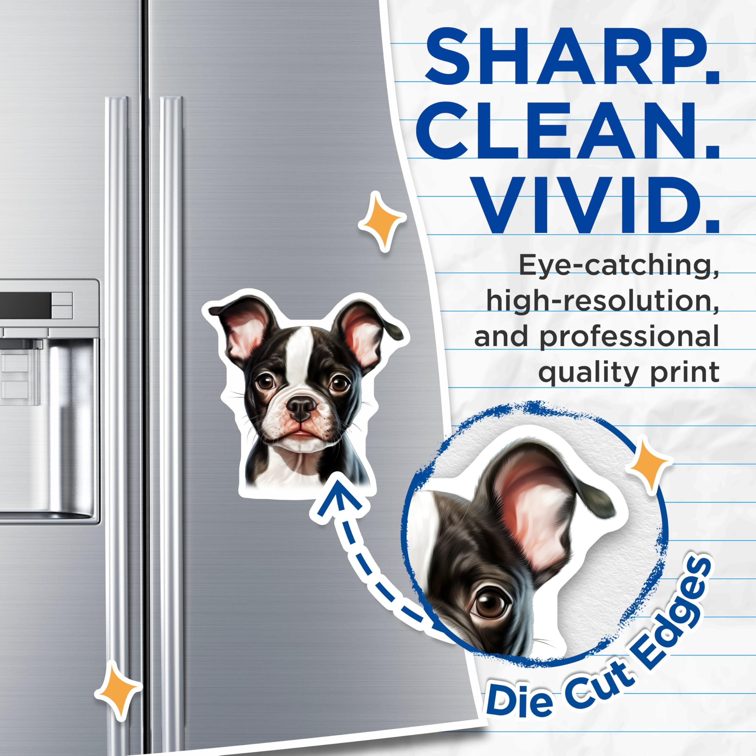 (2 Pack) Boston Terrier Puppy Magnets - Adorable Dog Art - Black White Canine - Pet Lover Decor Fridge Locker - 5 Inches On Longest Side - Thick Durable Magnet - Made in USA - MAG24331