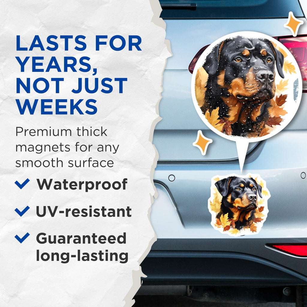(2 Pack) Rottweiler Magnets - Autumn Fall Leaves Dog Art - Canine Pet Lover Decor - 5 Inches On Longest Side - Thick Durable Magnet - Made in USA - MAG24633