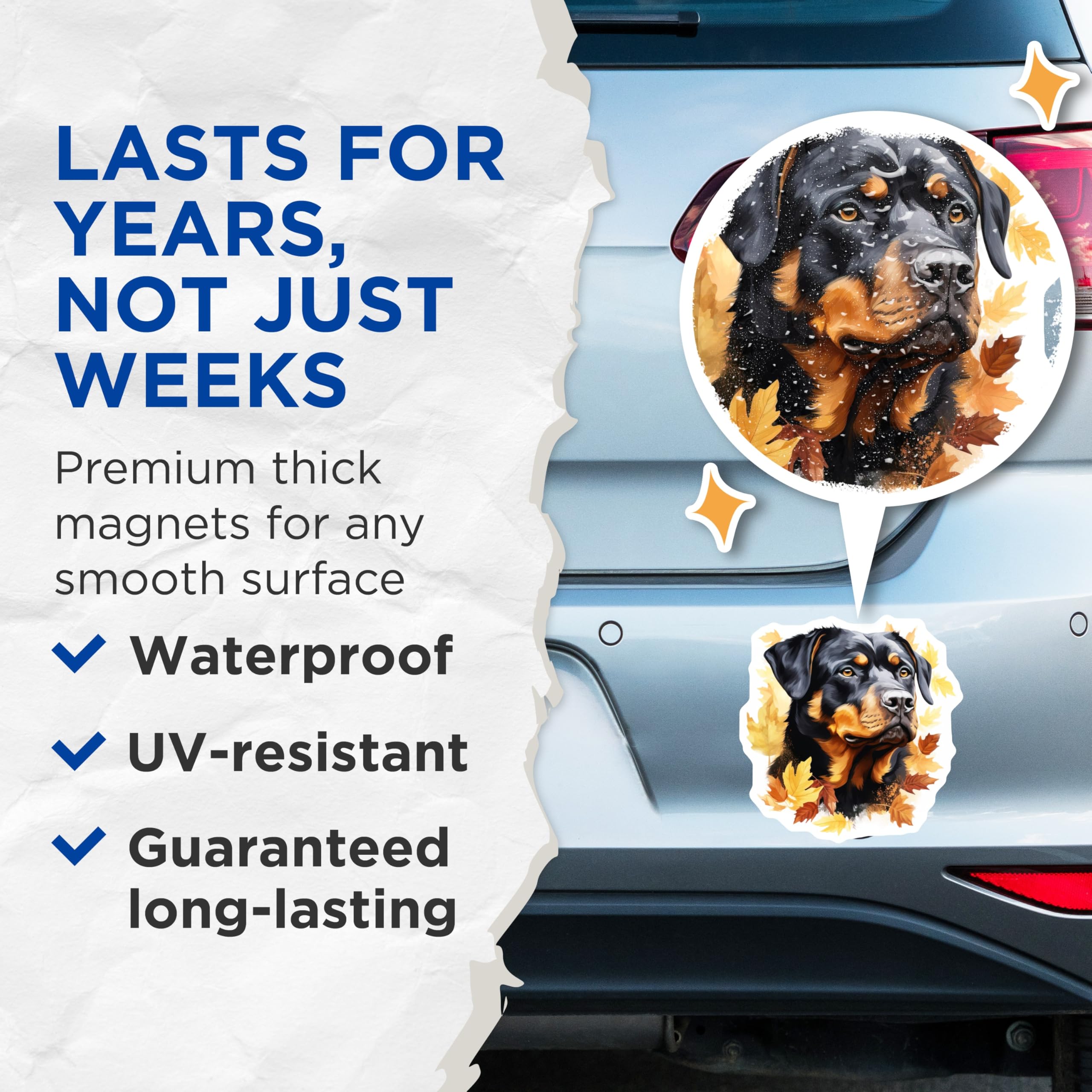 (2 Pack) Rottweiler Magnets - Autumn Fall Leaves Dog Art - Canine Pet Lover Decor - 5 Inches On Longest Side - Thick Durable Magnet - Made in USA - MAG24633