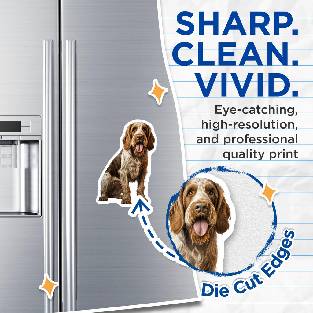 (2 Pack) Spinone Italiano Magnets - Authentic Italian Wirehaired Dog Breed Art - Canine Pet Lover Refrigerator Decor - 5 Inches On Longest Side - Thick Durable Magnet - Made in USA - MAG24708