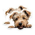 (2 Pack) Cute Puppy Magnet - Fridge Decor - Animal Lover Gift - Kitchen Fun - 5" On Longest Side - Sticks to Smooth Flat Surfaces - Made in USA - MAG10180