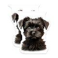 (2 Pack) Cute Black Puppy Magnets - Fluffy Dog Pet Lover Decor - Animal Art Refrigerator Office - 5 Inches On Longest Side - Thick Durable Magnet - Made in USA - MAG28541