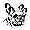 (2 Pack) French Bulldog Magnets - Frenchie Dog Lover - Dog Mom Car Magnet - Pet Owner Fridge Decor - Minimalist Animal Art - 5 Inches On Longest Side - Thick Durable Magnet - Made in USA - MAG37785