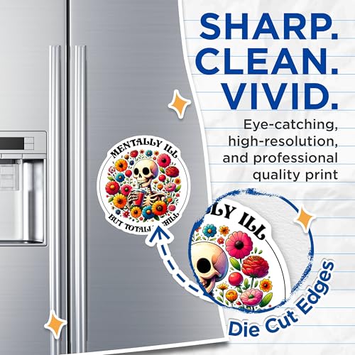 (2 Pack) Mentally Ill But Totally Chill Magnets - 5" On Longest Side - for Cars, Fridges, Toolboxes - Made in USA - MAG7528