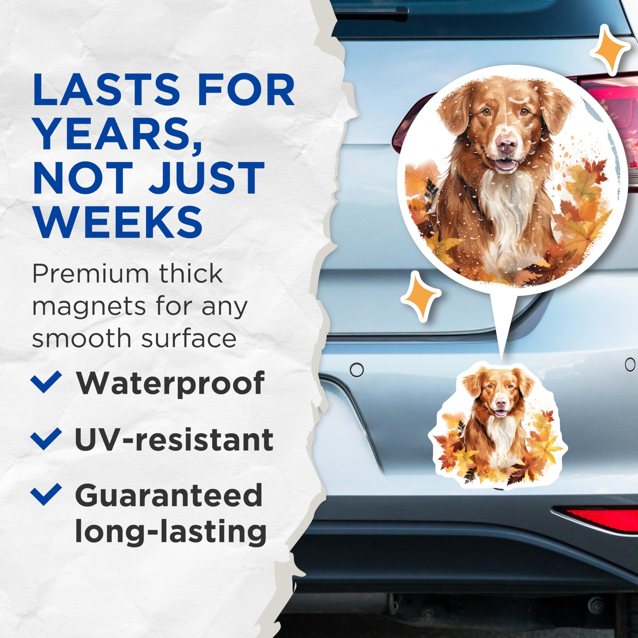 (2 Pack) Nova Scotia Duck Tolling Retriever Magnets - Fall Leaves Dog Art - Autumn Dog Decor for Pet Owners - 5 Inches On Longest Side - Thick Durable Magnet - Made in USA - MAG27075