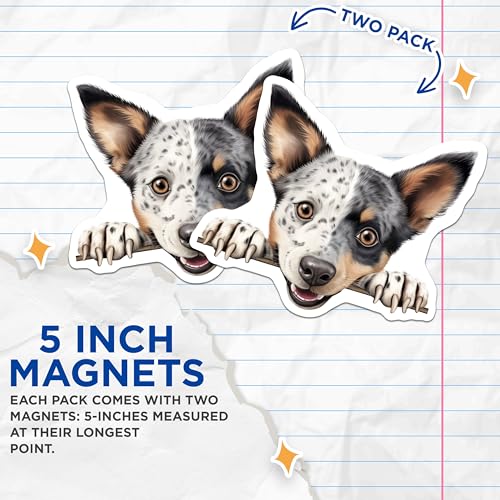 (2 Pack) Pet Lover Decor Magnet - 5" On Longest Side - Sticks to Smooth Flat Surfaces - Made in USA - MAG9839