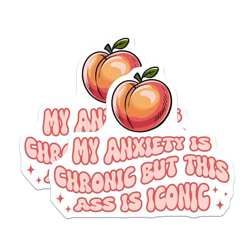 (2 Pack) Funny Quote Stickers - Peach Design - Mental Health Awareness - 5" On Longest Side - Sticks to Smooth Flat Surfaces - Made in USA - BMCS7672