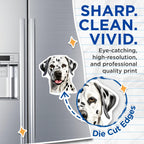 (2 Pack) Dalmatian Dog Magnets - Pet Lover Decor - Dog Mom Dad Appreciation - 5 Inches On Longest Side - Thick Durable Magnet - Made in USA - MAG27687