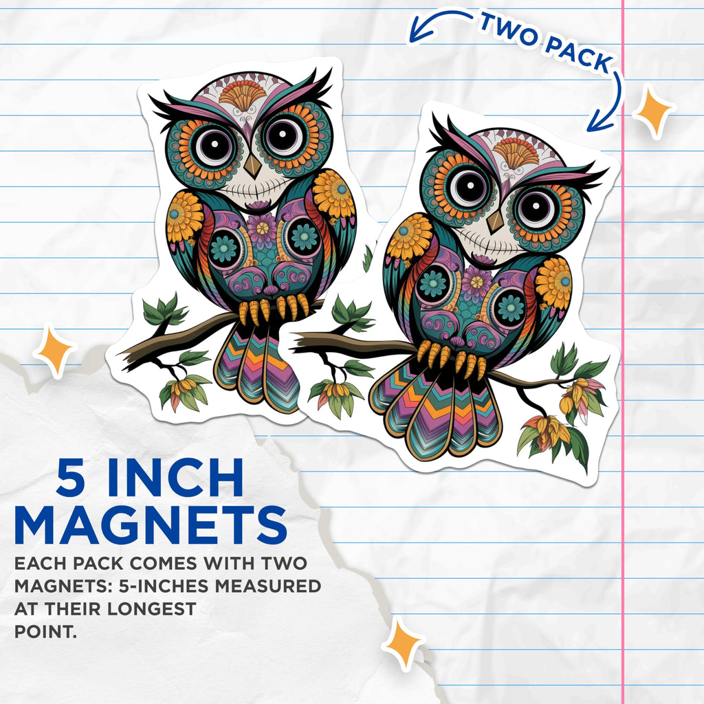 (2 Pack) Colorful Owl Decor Magnet - 5" On Longest Side - Sticks to Smooth Flat Surfaces - Made in USA - MAG9465