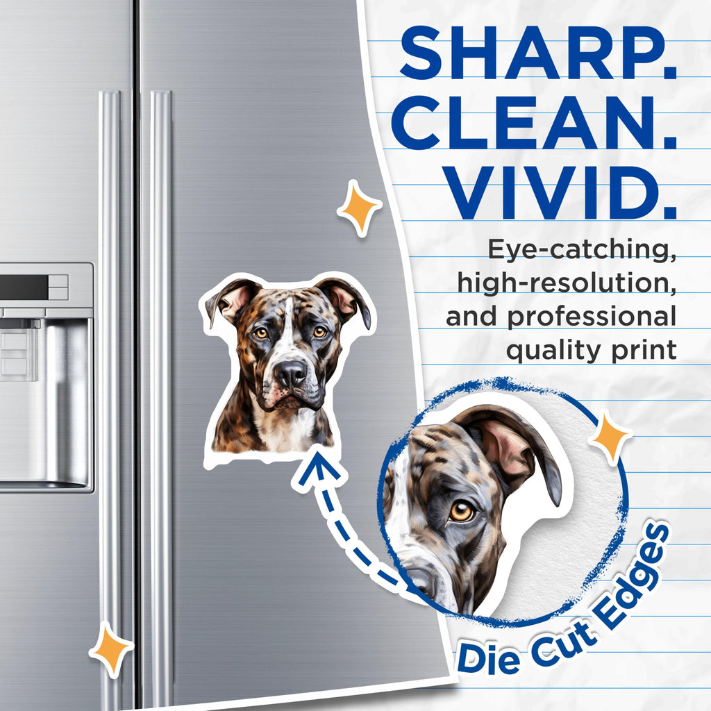 (2 Pack) Brindle American Bulldog Magnets - Artistic Dog Portrait - Pet Lover Decor - Canine Companion Fridge Decals - 5 Inches On Longest Side - Thick Durable Magnet - Made in USA - MAG24684