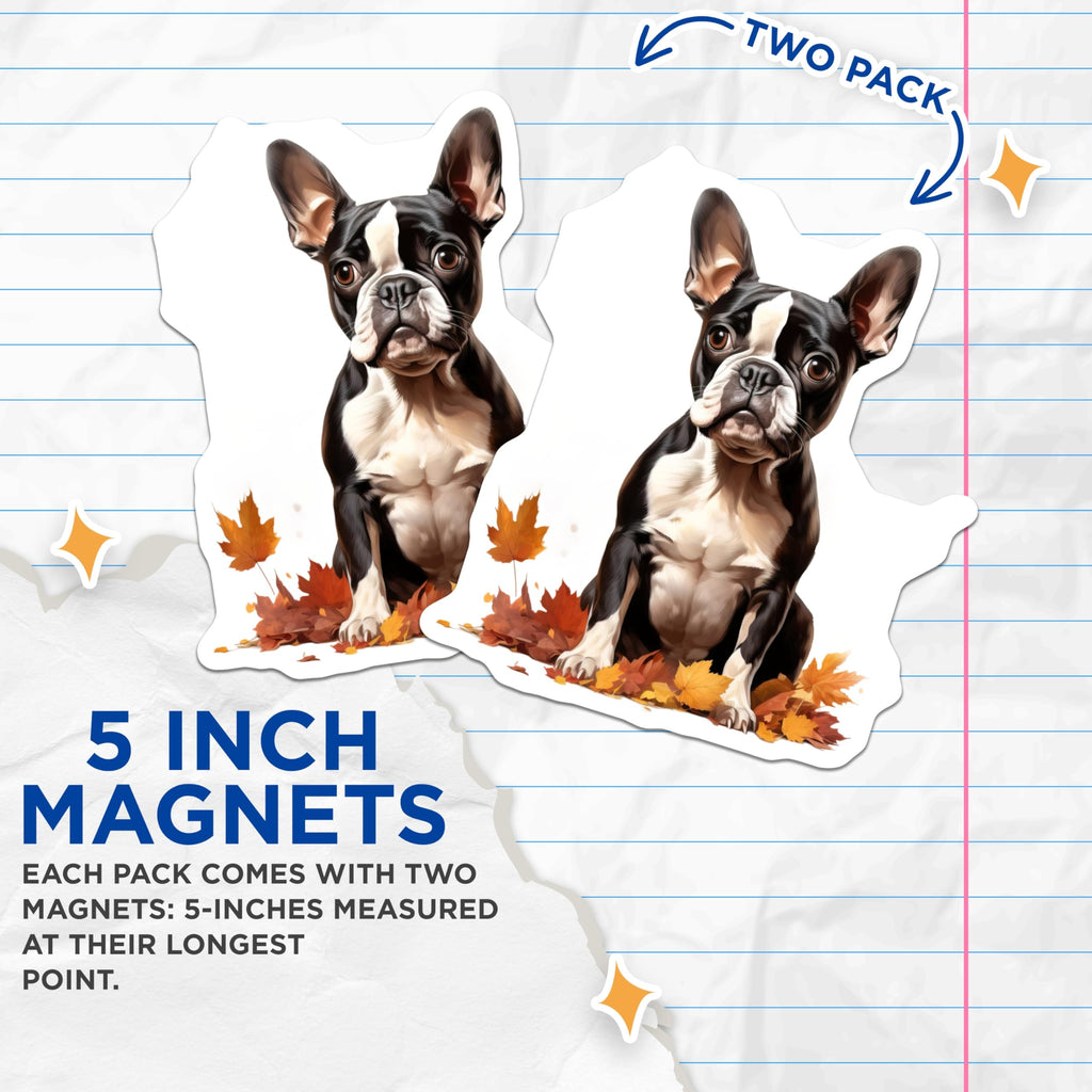 (2 Pack) Boston Terrier Puppy Magnets - Autumn Leaves Dog Art - Seasonal Pet Refrigerator Decor - 5 Inches On Longest Side - Thick Durable Magnet - Made in USA - MAG23764
