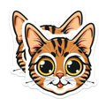 (2 Pack) Cute Cat Face Magnets - Tabby Kitty Fridge Decor - Animal Lover Locker Accessory - Kawaii Cat Art - 5 Inches On Longest Side - Thick Durable Magnet - Made in USA - MAG38706