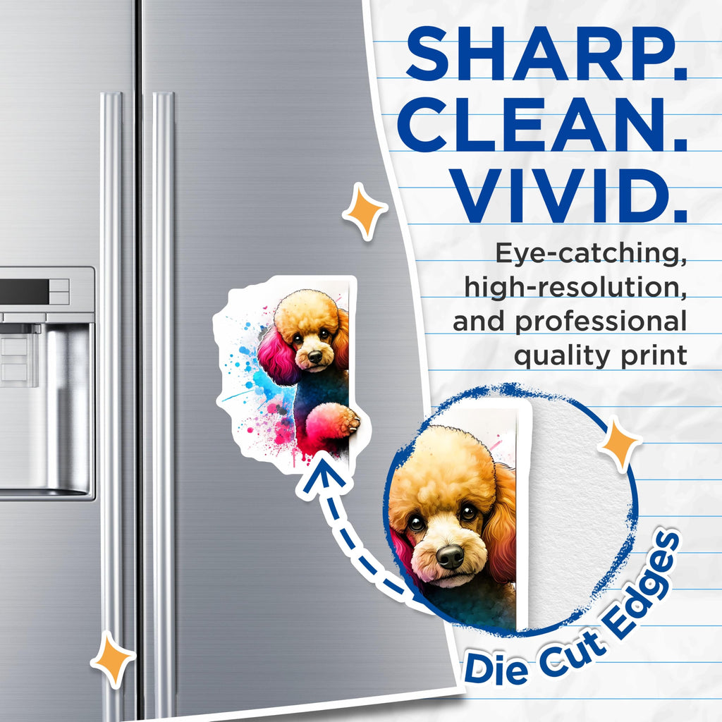 (2 Pack) Poodle Dog Magnets - Watercolor Poodle - Fun Pet Artwork - 5" On Longest Side - Premium Magnet - for Cars, Refrigerators, Toolboxes, Lockers - Made in USA - MAG15044