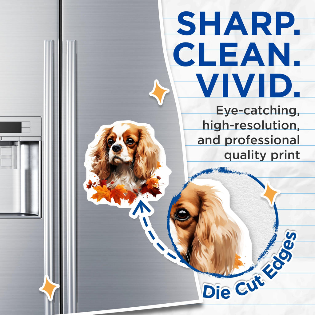 (2 Pack) Cavalier King Charles Spaniel Magnets - Autumn Dog Art - Fall Pet Decor - Dog Lover Accents - 5 Inches On Longest Side - Thick Durable Magnet - Made in USA - MAG30710