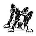 (2 Pack) Boston Terrier Magnets - Dog Lover Gifts - Cute Pet for Fridge or Office - Puppy Car Accessories - Animal Magnet - 5" On Longest Side - for Cars, Fridges, Toolboxes - Made in USA - MAG4039