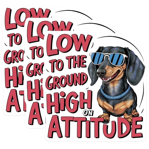 (3 Pack) Dachshund Decals - Funny Dog - Low to The Ground High on Attitude Decals - 3 Inches On Longest Side - Easy Peel & Apply - Made in USA - 3MCS7255