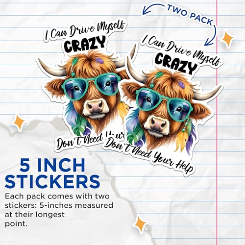 (2 Pack) Funny Cow Stickers - Humorous Farm Animal Stickers - Crazy Cow Decal - 5" On Longest Side - Sticks to Any Smooth Flat Surface - Made in USA - BMCS2933