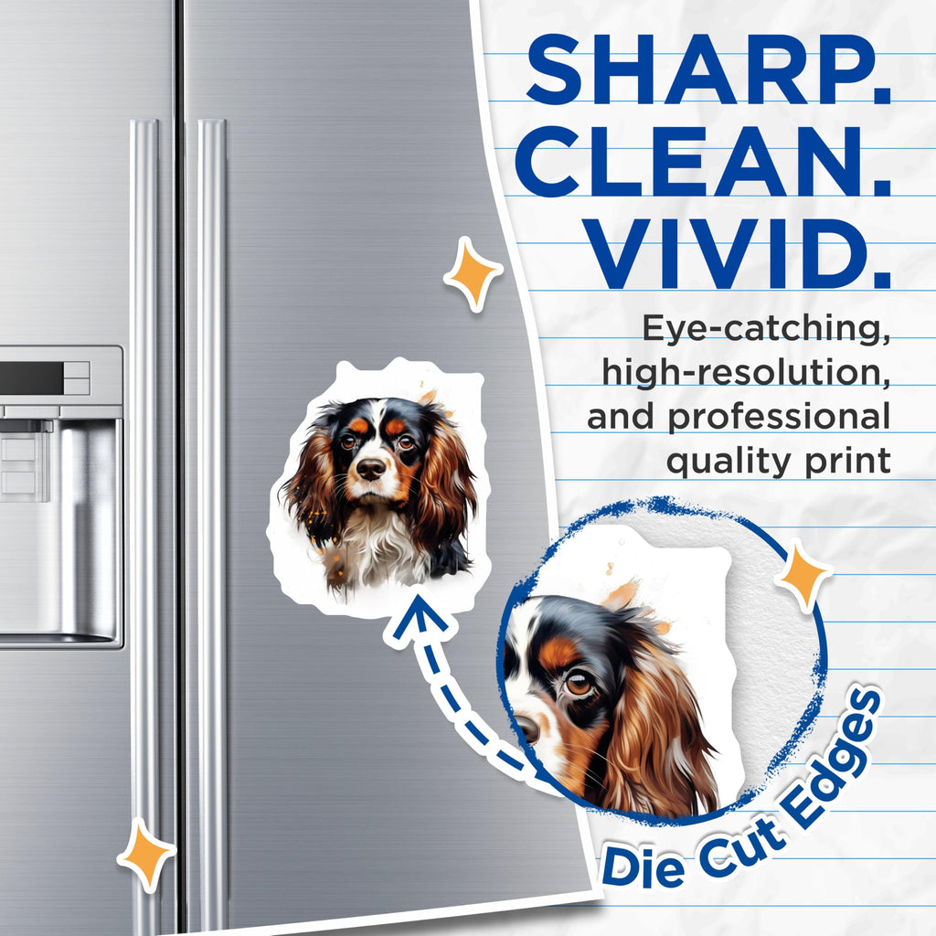 (2 Pack) Cavalier King Charles Spaniel Magnets - Tricolor Cavalier Dog Art - Pet Owner Decor Pet Parent - 5 Inches On Longest Side - Thick Durable Magnet - Made in USA - MAG28545