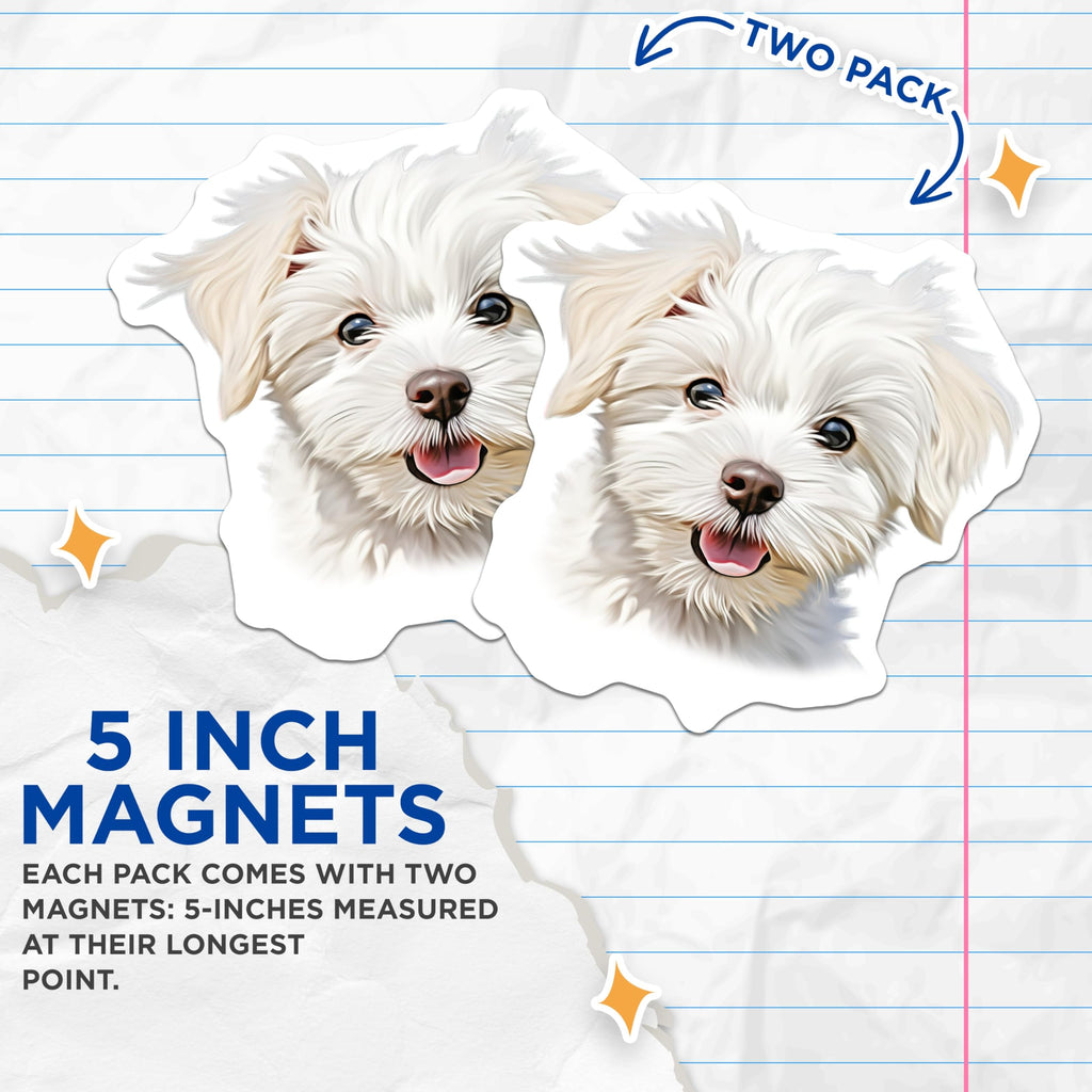(2 Pack) Cute Maltese Puppy Magnets - Fluffy White Dog Decor - Adorable Pet Owner Refrigerator - 5 Inches On Longest Side - Thick Durable Magnet - Made in USA - MAG27565