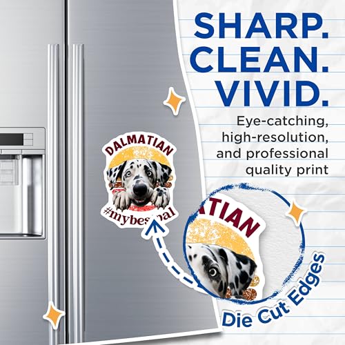(2 Pack) Dalmatian Dog Magnets - Puppy - Cute Dog Lover - Animal Print Fridge Magnets - 5" On Longest Side - for Cars, Fridges, Toolboxes - Made in USA - MAG3975