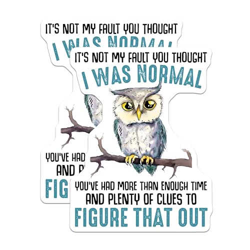 (2 Pack) Funny Owl Stickers - Humor Decal - Quirky Owl Quote - 5" On Longest Side - Sticks to Smooth Flat Surfaces - Made in USA - BMCS7739