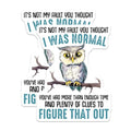 (2 Pack) Funny Owl Stickers - Humor Decal - Quirky Owl Quote - 5" On Longest Side - Sticks to Smooth Flat Surfaces - Made in USA - BMCS7739