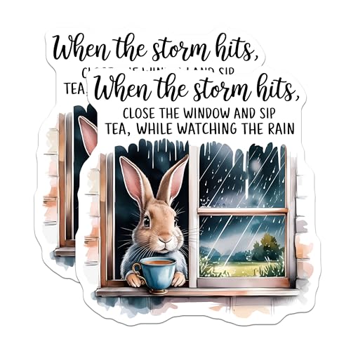 (2 Pack) Inspirational Bunny Stickers - Motivational Quotes - Weather Cozy Tea Time DÃƒÂ©cor - 5" On Longest Side - Sticks to Smooth Flat Surfaces - Made in USA - BMCS8753