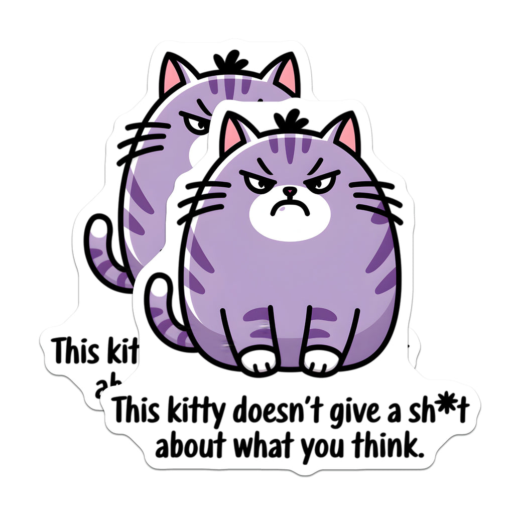 (2 Pack) Grumpy Cat Magnets - Sarcastic Kitten Decor - Dont Care Feline Humor - 5 Inches On Longest Side - Thick Durable Magnet - Made in USA - MAG37244