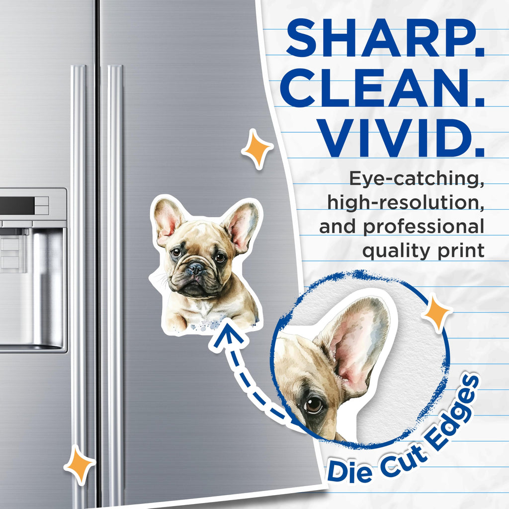 (2 Pack) French Bulldog Magnets - Cute Dog Fridge Magnets - Animal Lover Home Decor - 5" On Longest Side - Premium Magnet - for Cars, Refrigerators, Toolboxes, Lockers - Made in USA - MAG15093