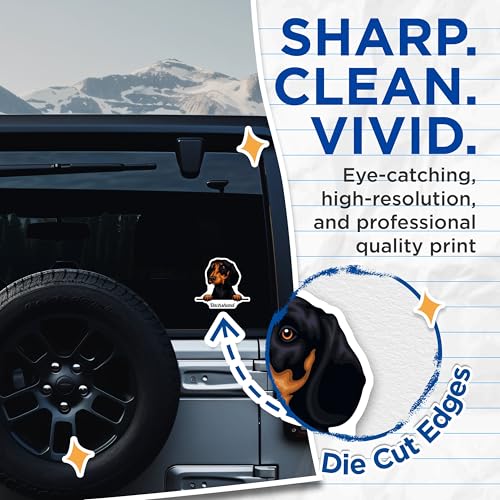 (2 Pack) Dachshund Cute Dog Stickers - Pet Lover Dog Breed Stickers - Adorable Black and Brown Dog Stickers - 5" On Longest Side - Sticks to Smooth Flat Surfaces - Made in USA - BMCS4227