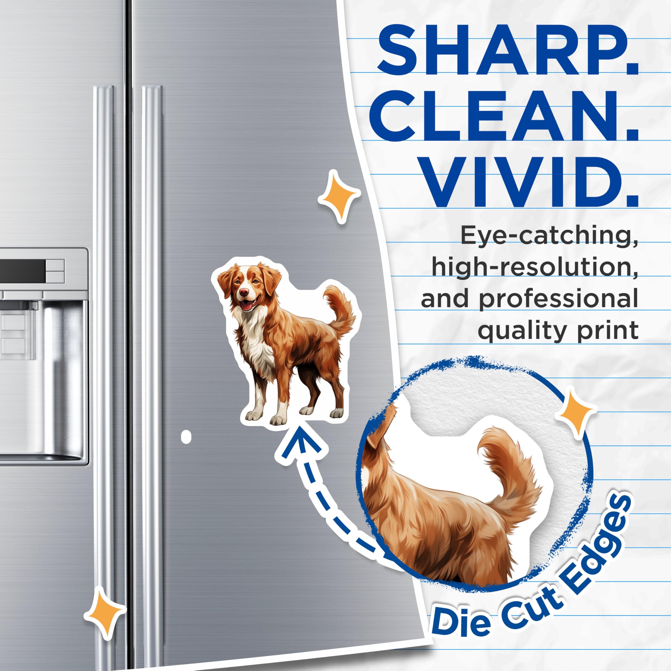 (2 Pack) Nova Scotia Duck Tolling Retriever Magnets - Dog Mom Kitchen Decor - Pet Lover Refrigerator Art - 5 Inches On Longest Side - Thick Durable Magnet - Made in USA - MAG29683