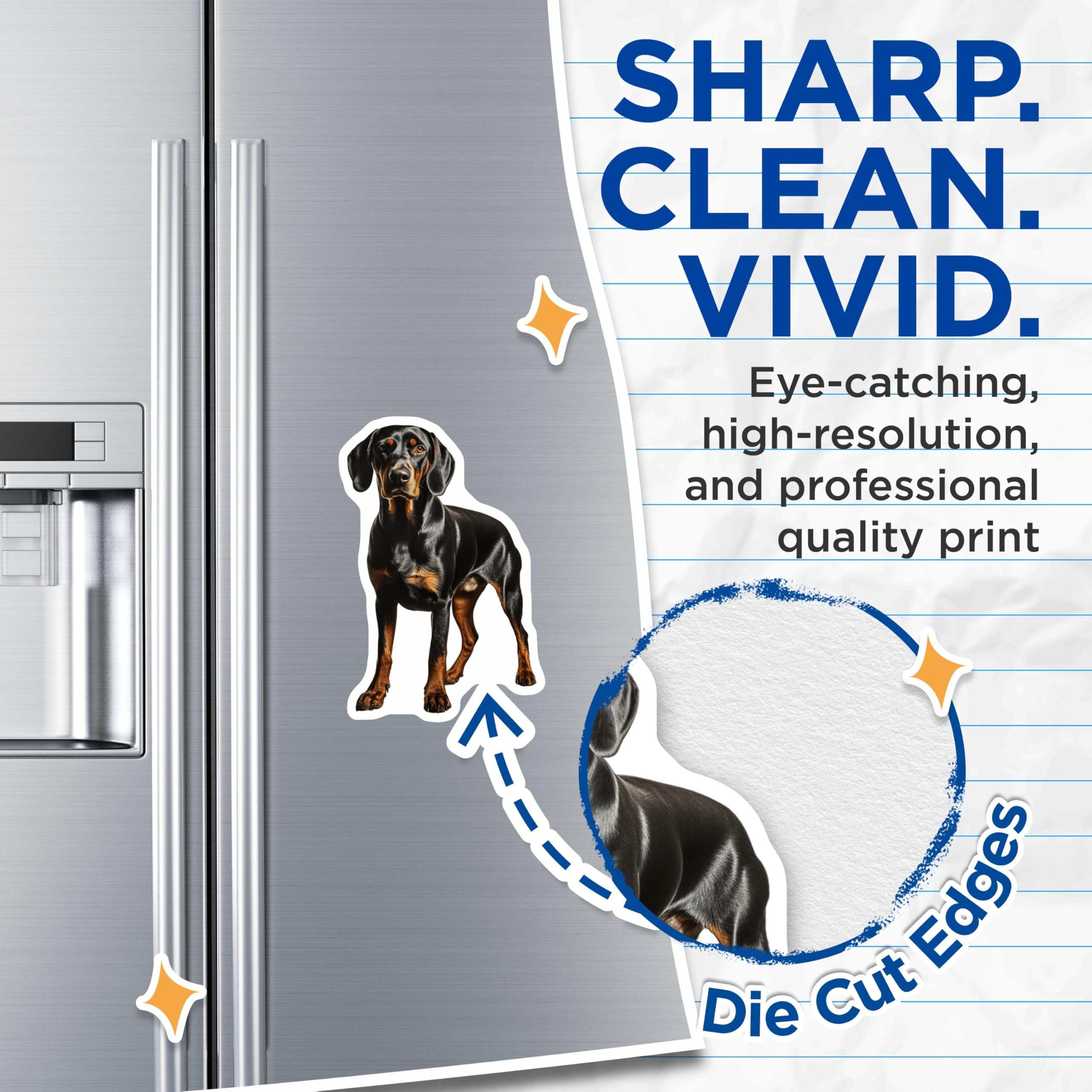 (2 Pack) Doberman Pinscher Magnets - Black Tan Dog Decor - Pet Lover Refrigerator Magnets - 5 Inches On Longest Side - Thick Durable Magnet - Made in USA - MAG27677