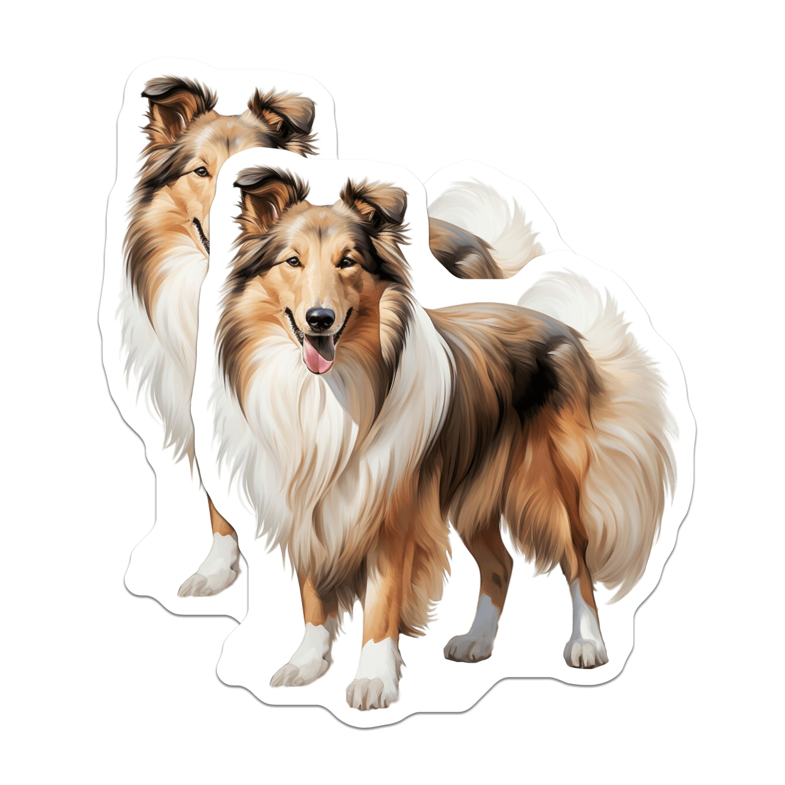 (2 Pack) Rough Collie Magnets - Dog Lover Decor - Pet Breed Collection - 5 Inches On Longest Side - Thick Durable Magnet - Made in USA - MAG27118
