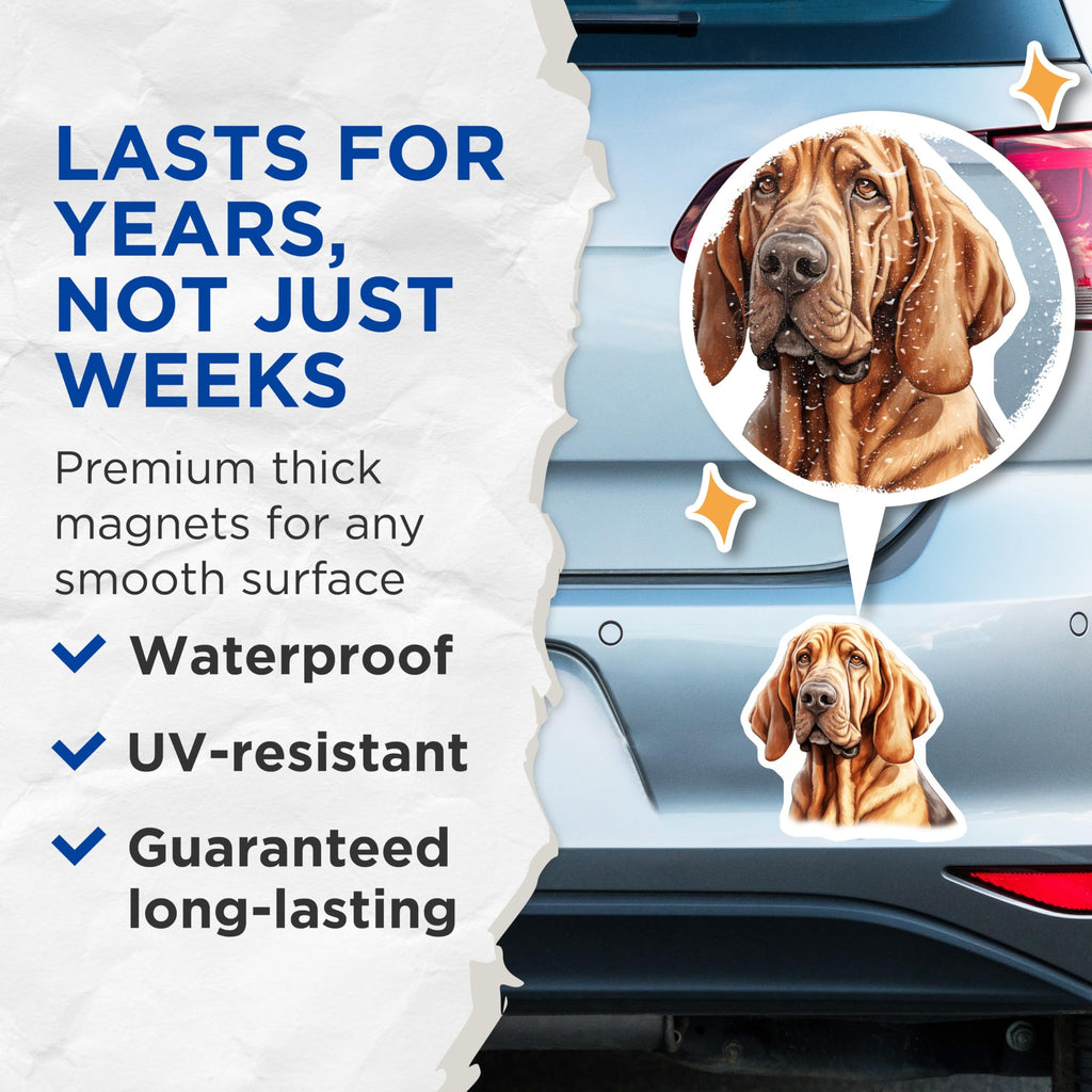 (2 Pack) Bloodhound Dog Magnets - Dog Lover Magnet Set - Dog Mom Dad Present - 5 Inches On Longest Side - Thick Durable Magnet - Made in USA - MAG28413