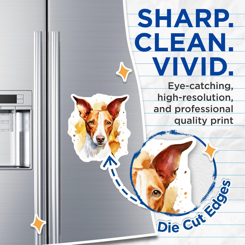 (2 Pack) Podenco Dog Magnets - Watercolor Animal Art - Unique Pet Lover Decor - 5 Inches On Longest Side - Thick Durable Magnet - Made in USA - MAG24611