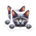 (2 Pack) Grey Cat Magnets - Cute Kitten Refrigerator Magnet - Animal Lover Decor - 5" On Longest Side - Premium Magnet - for Cars, Refrigerators, Toolboxes, Lockers - Made in USA - MAG14302