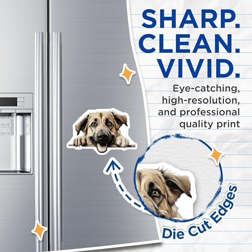 (2 Pack) Animal Lover Decor Magnet - 5" On Longest Side - Sticks to Smooth Flat Surfaces - Made in USA - MAG9834