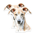 (2 Pack) Whippet Magnets - Dog Lover Decor - Pet Art Collectible - 5 Inches On Longest Side - Thick Durable Magnet - Made in USA - MAG24191