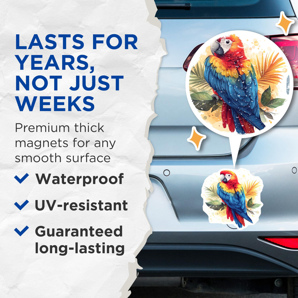 (2 Pack) Vibrant Macaw Magnets - Tropical Parrot Decor - Exotic Bird Refrigerator Art - 5 Inches On Longest Side - Thick Durable Magnet - Made in USA - MAG29429