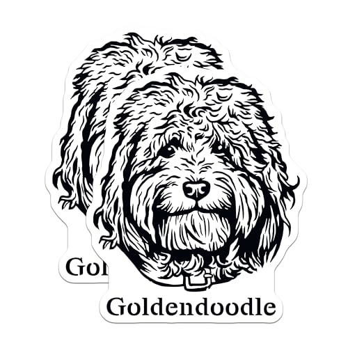 (2 Pack) Goldendoodle Magnets - Cute Dog Magnets - Pet Lover's Fridge Magnets - Animal Cartoon Magnets - 5" On Longest Side - for Cars, Fridges, Toolboxes - Made in USA - MAG4012