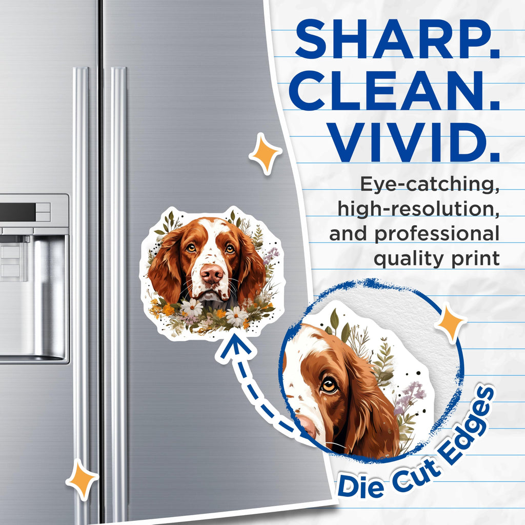 (2 Pack) Springer Spaniel Magnets - Brown White Dog Art - Wildflower Pet Decor - Canine Lover Refrigerator Magnet - 5 Inches On Longest Side - Thick Durable Magnet - Made in USA - MAG23869