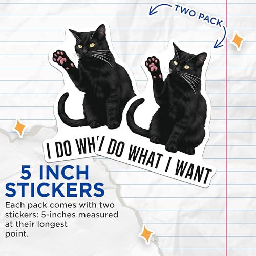 (2 Pack) Cat Attitude Stickers - I Do What I Want - 5" On Longest Side - Sticks to Smooth Flat Surfaces - Made in USA - BMCS8892 - BMCS8892