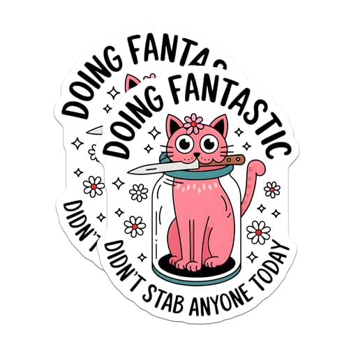 (2 Pack) Doing Fantastic Stickers - Cat Meme Stickers - Funny Motivational Stickers - 5" On Longest Side - Sticks to Smooth Flat Surfaces - Made in USA - BMCS4560