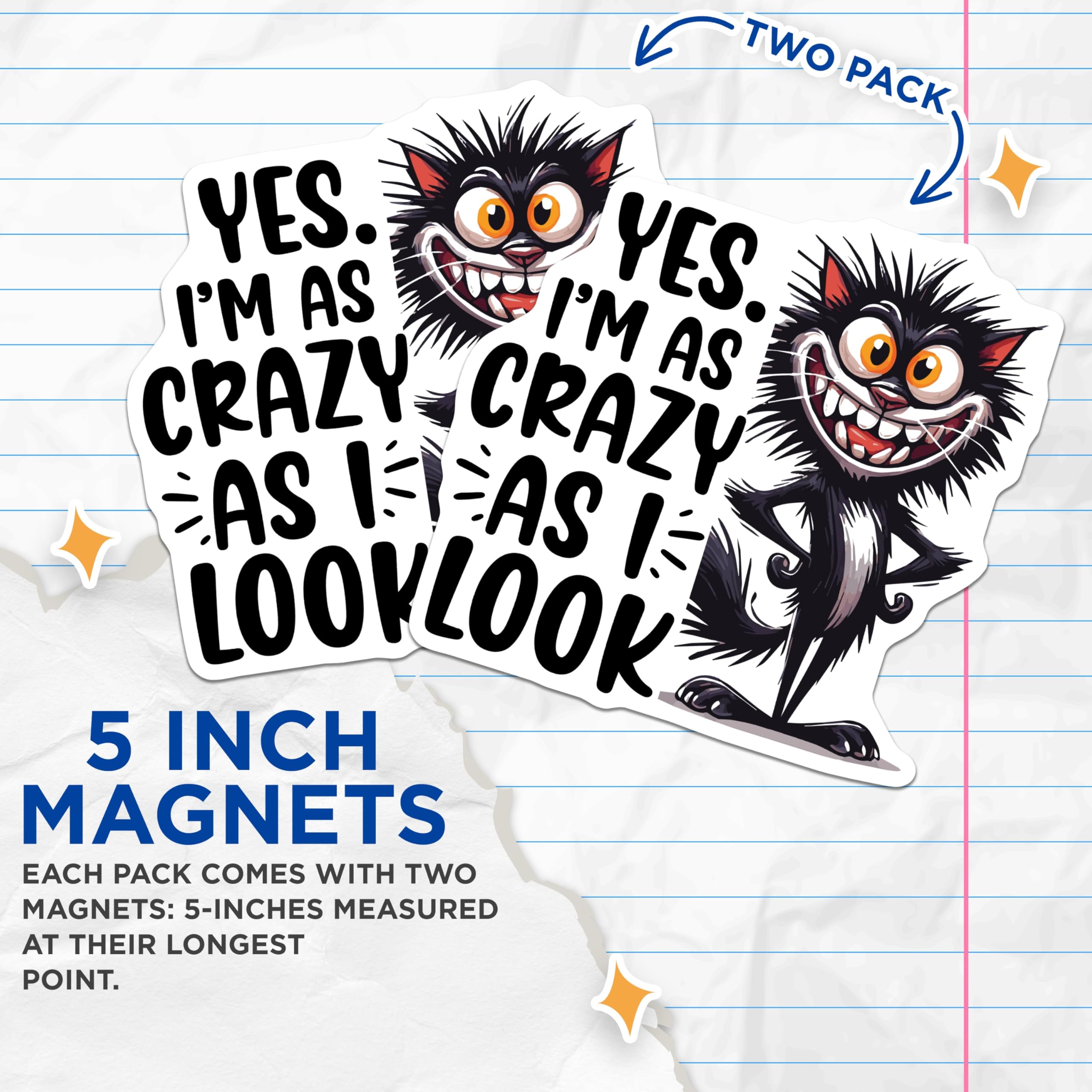 (2 Pack) Crazy Cat Magnets - Funny Kitten Decor - Sarcastic Home Magnets - 5" On Longest Side - Premium Magnet - for Cars, Refrigerators, Toolboxes, Lockers - Made in USA - MAG15621