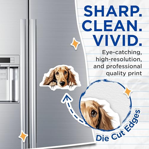 (2 Pack) Kitchen Decoration Magnet - Animal Lover Gift for Fridge - 5" On Longest Side - Sticks to Smooth Flat Surfaces - Made in USA - MAG10268