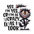 (2 Pack) Crazy Cat Magnets - Funny Kitten Decor - Sarcastic Home Magnets - 5" On Longest Side - Premium Magnet - for Cars, Refrigerators, Toolboxes, Lockers - Made in USA - MAG15621