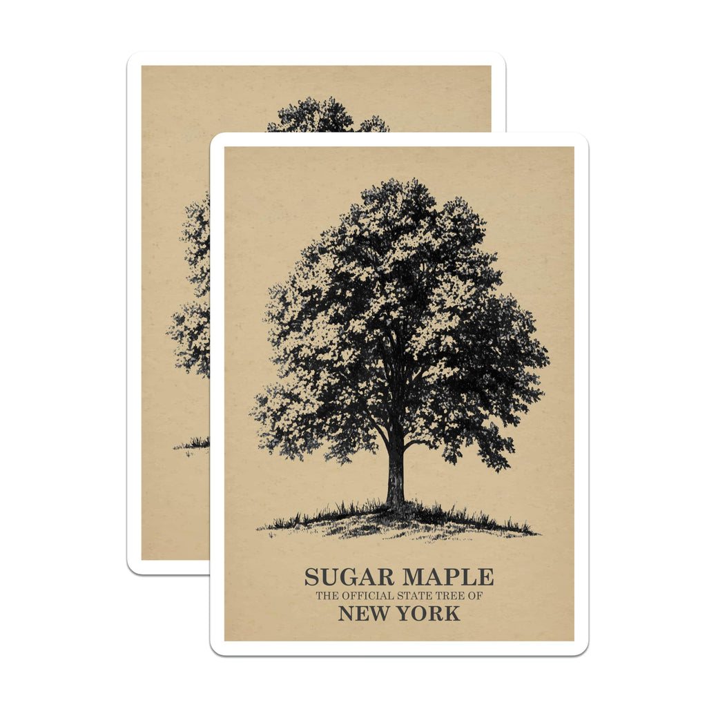 Sugar Maple Tree Art T-Shirt, New York State Tree, Botanical Tee, Nature Lover Gift, Magnet - 5" On Longest Side - Premium Magnet - for Cars, Refrigerators, Toolboxes, Lockers - Made in USA - MAG18453