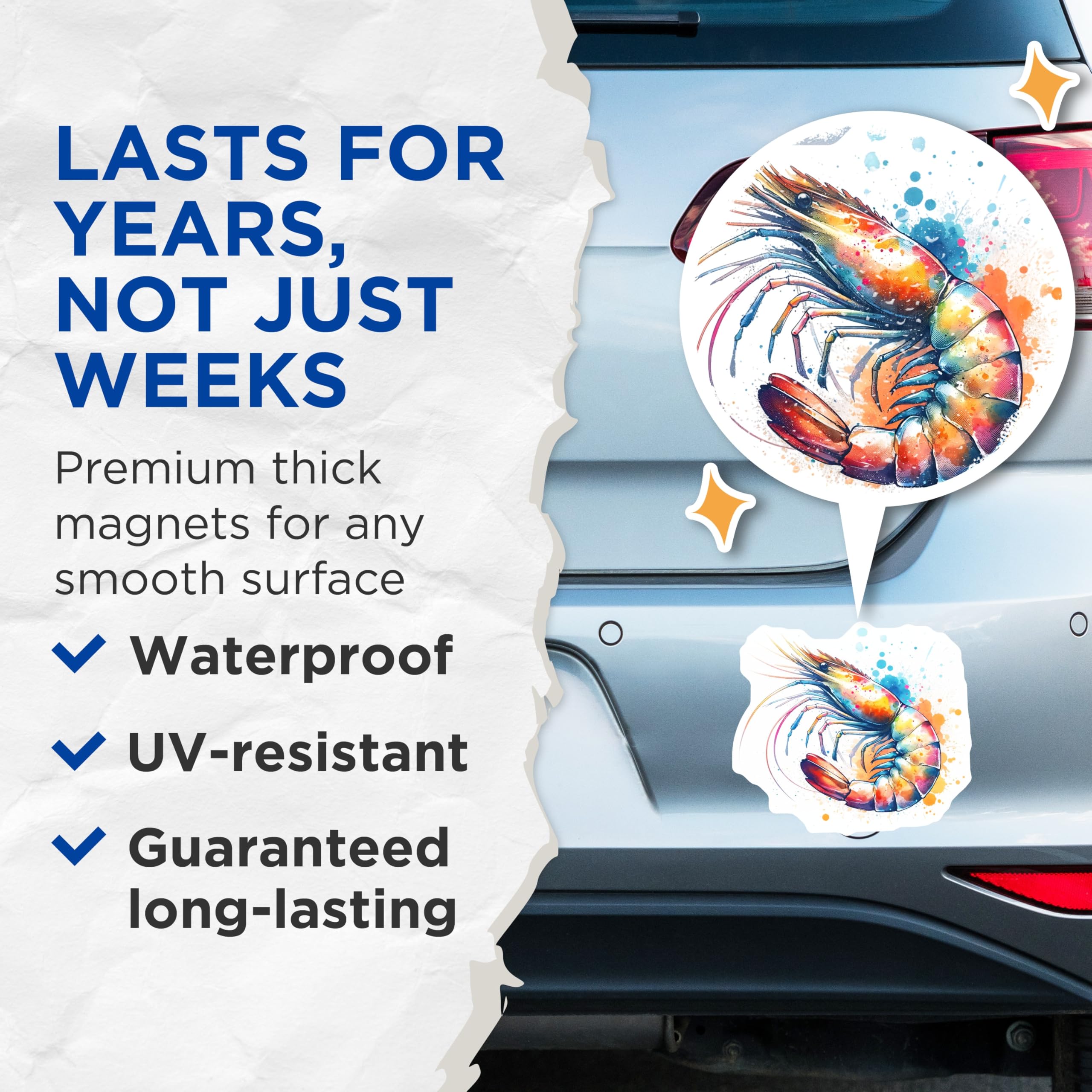 (2 Pack) Watercolor Shrimp Magnets - Seafood Art - Colorful Fridge Magnets - 5" On Longest Side - Premium Magnet - for Cars, Refrigerators, Toolboxes, Lockers - Made in USA - MAG14257